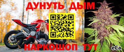 сатива Северобайкальск