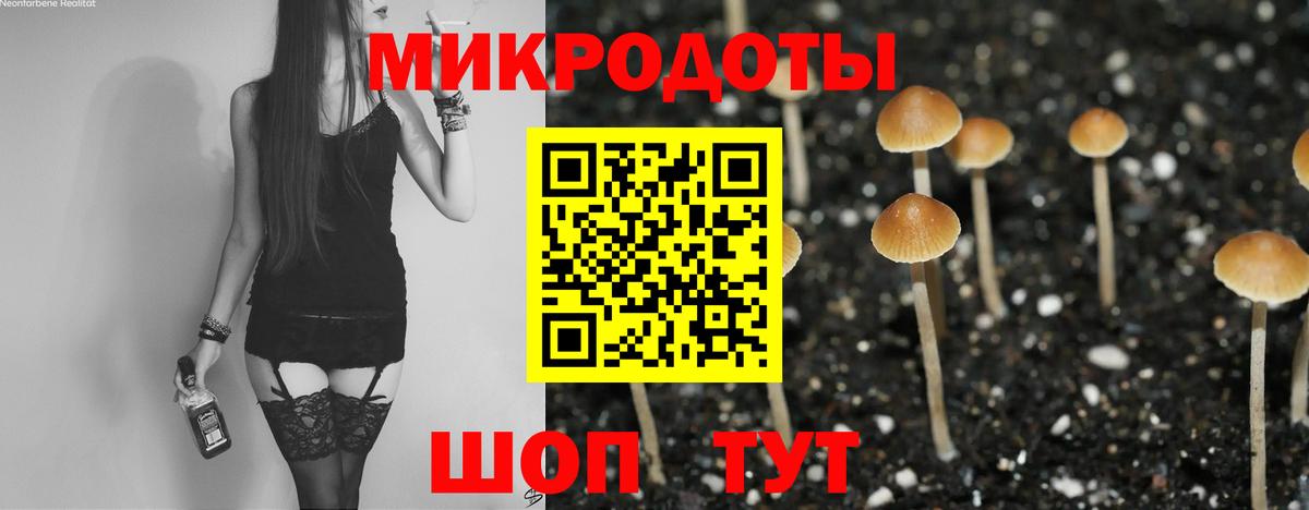 Галлюциногенные грибы Cubensis  Вход с VPN  Прохладный 
